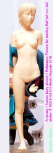 Anatomy ( human body sketch ) Reference Picture for making Ball-jointed doll atelier iT HQ12-03 (C) Hiroki Hayashi 2016 & Good Smile Company Nendoroid Hatsune Miku [ photo : OLYMPUS E-300 & PENTACON auto 50mm F1.8 Muluti Coating ]
